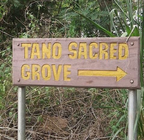 Tanoboase-Sacred-Grove-and-Shrine-2