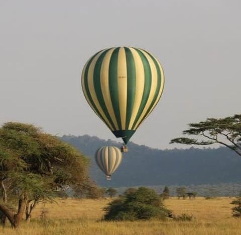 Tanzania-Serengeti-2