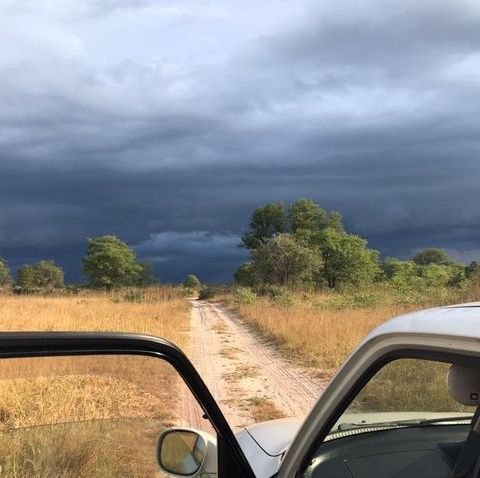 Mozambique-Safari-16