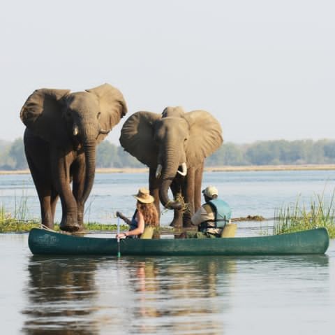 Zambia Tourism (2)