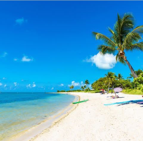 Best Beaches in the Florida Keys: Exploring Paradise - The Best Travel 