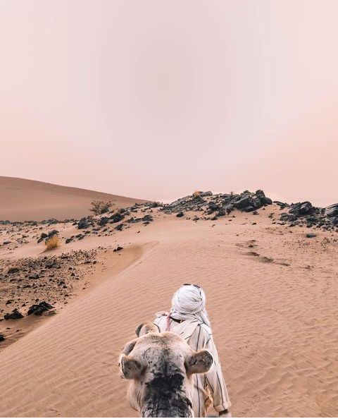 Western-Sahara-Travel-Guide-12