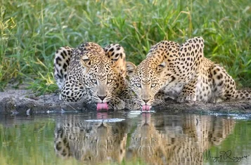 Botswana-vacation-17