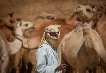 Eritrea-Travel-7