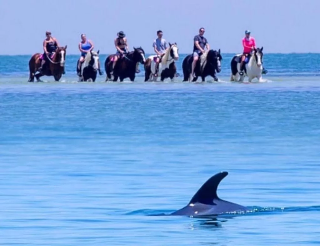 Anna Maria Island (2)